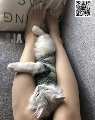 守护甜心第一季全集免费观看_BD国语免费电视剧